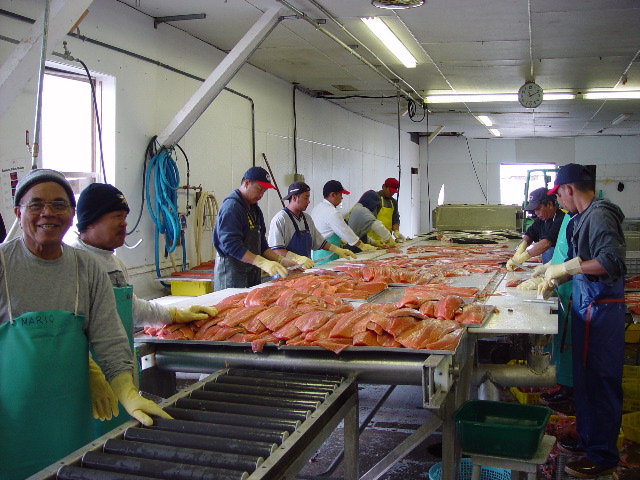 Metlakatla cannery